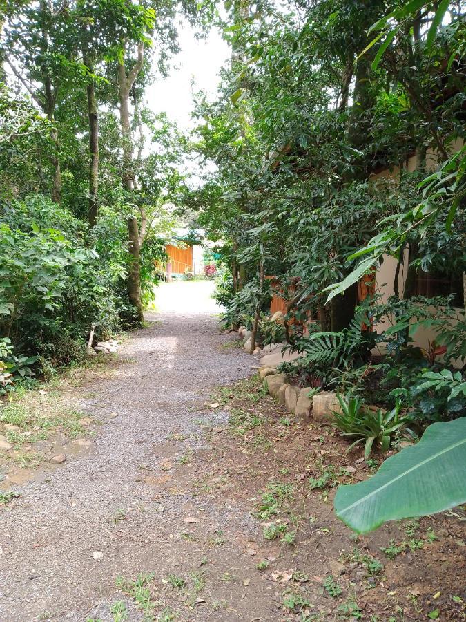 Casitas Del Bosque Monteverde. Εξωτερικό φωτογραφία