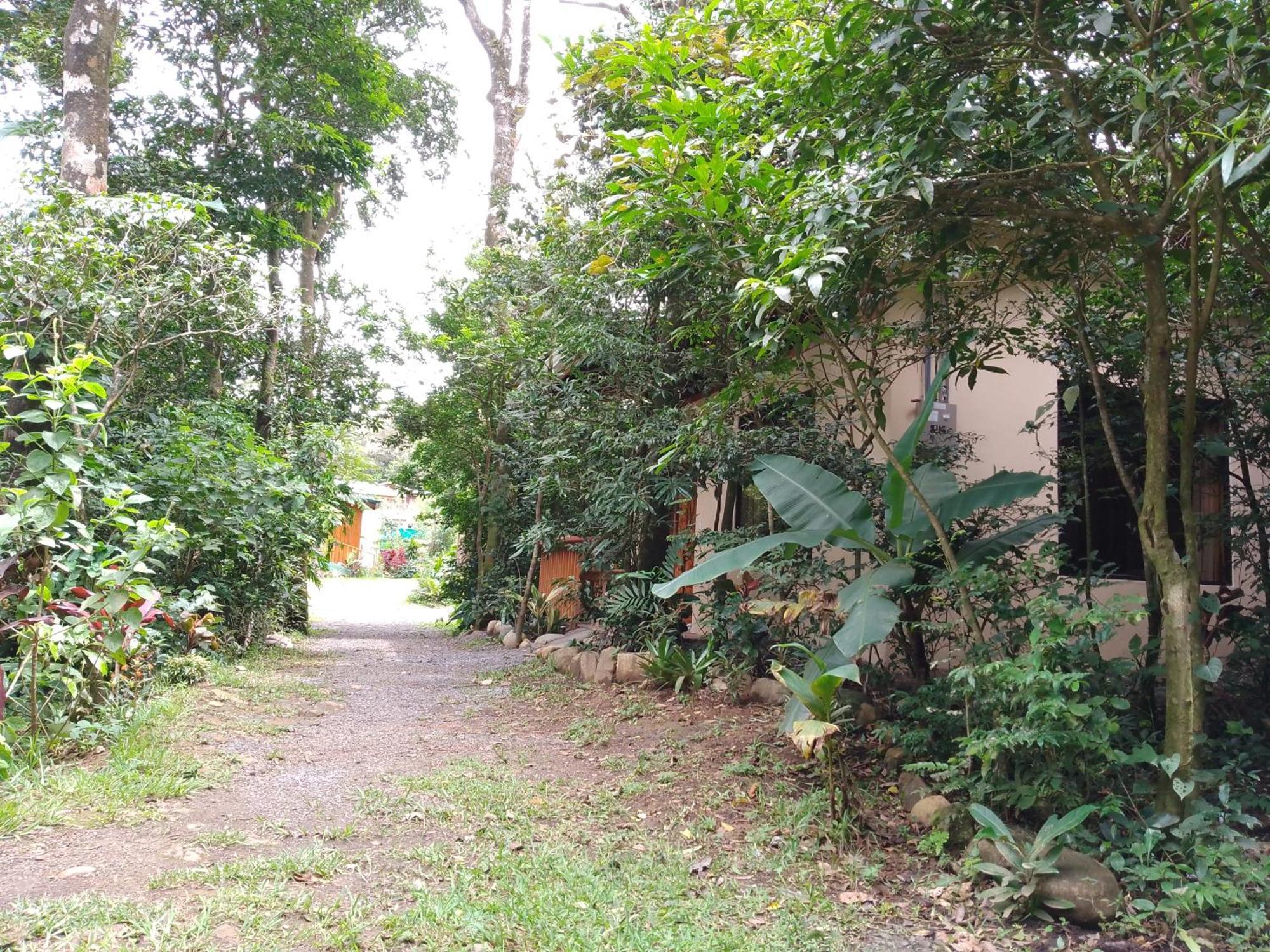 Casitas Del Bosque Monteverde. Δωμάτιο φωτογραφία